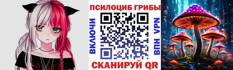 продажа наркотиков Полысаево hydra Псилоцибиновые грибы мицелий
